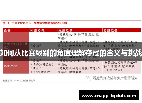 如何从比赛级别的角度理解夺冠的含义与挑战