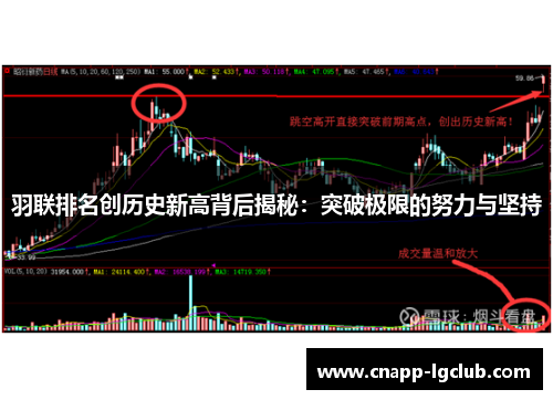 羽联排名创历史新高背后揭秘：突破极限的努力与坚持