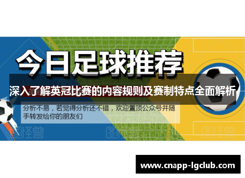 深入了解英冠比赛的内容规则及赛制特点全面解析