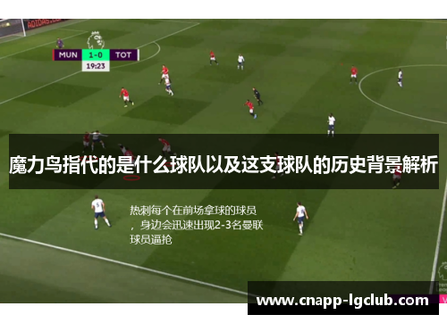 魔力鸟指代的是什么球队以及这支球队的历史背景解析