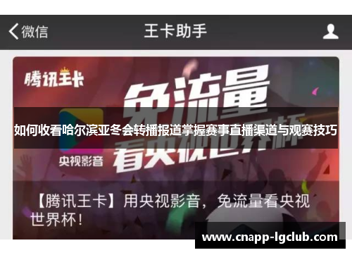 如何收看哈尔滨亚冬会转播报道掌握赛事直播渠道与观赛技巧