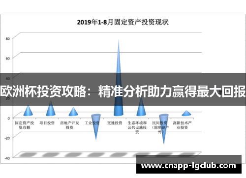 欧洲杯投资攻略：精准分析助力赢得最大回报