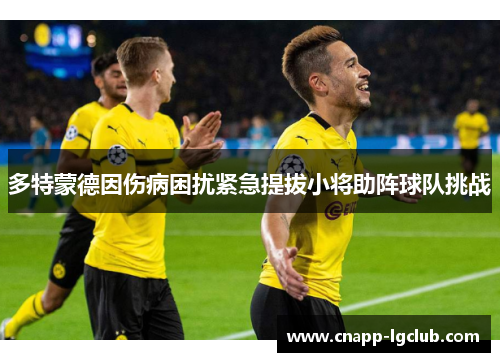 多特蒙德因伤病困扰紧急提拔小将助阵球队挑战 多特蒙德因伤病困扰紧急提拔小将助阵球队挑战